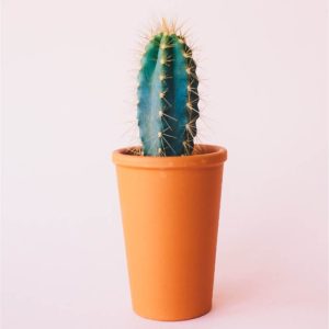 Ceramic Garden Pots